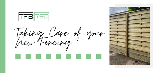 How to Treat and Maintain Timber Fencing: A Complete Guide